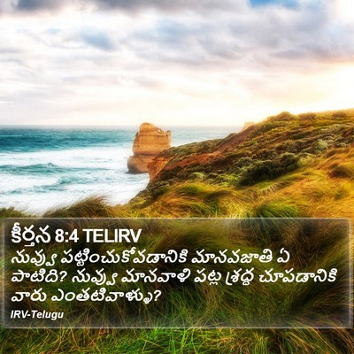 కీర్తన 8:4 TELIRV Bible Verse Image