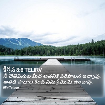 కీర్తన 8:6 TELIRV Bible Verse Image