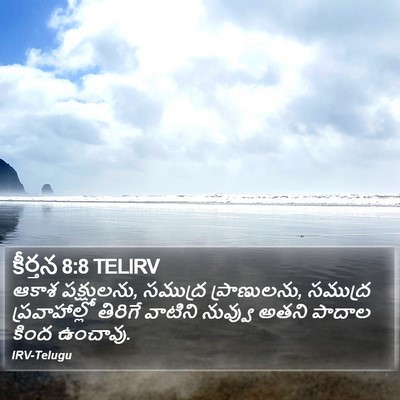 కీర్తన 8:8 TELIRV Bible Verse Image