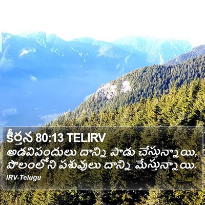కీర్తన 80:13 TELIRV Bible Verse Image