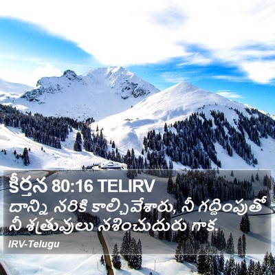 కీర్తన 80:16 TELIRV Bible Verse Image