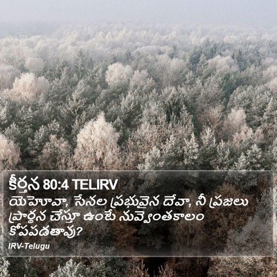 కీర్తన 80:4 TELIRV Bible Verse Image