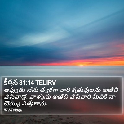 కీర్తన 81:14 TELIRV Bible Verse Image