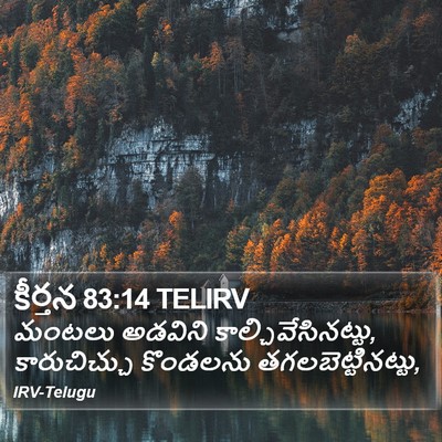 కీర్తన 83:14 TELIRV Bible Verse Image