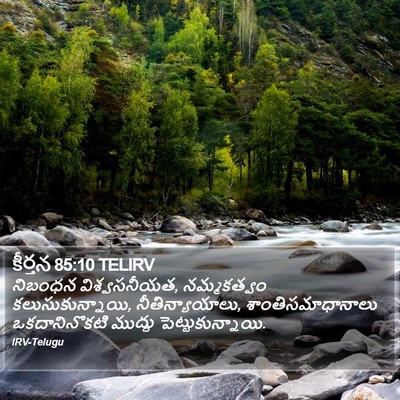 కీర్తన 85:10 TELIRV Bible Verse Image