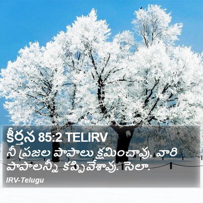 కీర్తన 85:2 TELIRV Bible Verse Image