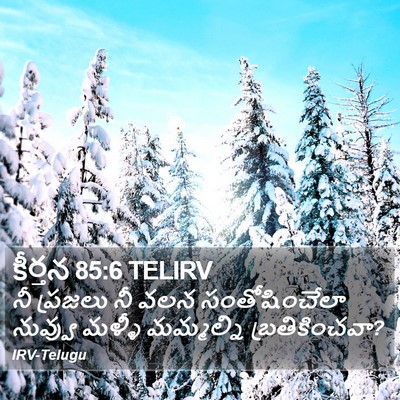కీర్తన 85:6 TELIRV Bible Verse Image