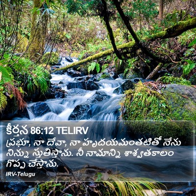 కీర్తన 86:12 TELIRV Bible Verse Image