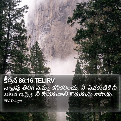కీర్తన 86:16 TELIRV Bible Verse Image