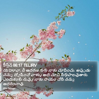కీర్తన 86:17 TELIRV Bible Verse Image