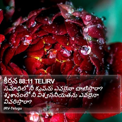 కీర్తన 88:11 TELIRV Bible Verse Image