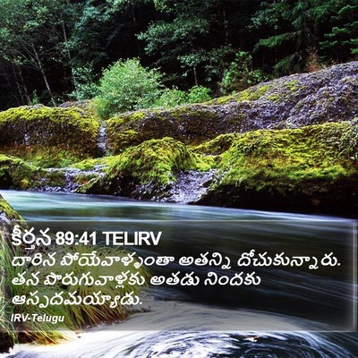 కీర్తన 89:41 TELIRV Bible Verse Image