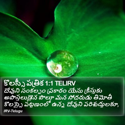 కొలస్సీ పత్రిక 1:1 TELIRV Bible Verse Image