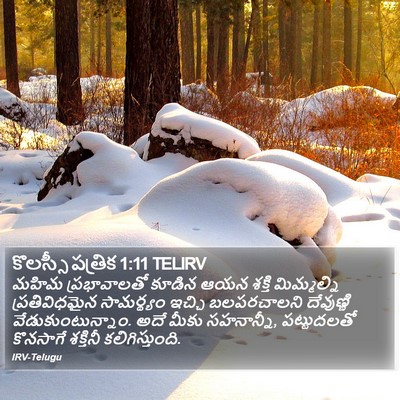కొలస్సీ పత్రిక 1:11 TELIRV Bible Verse Image