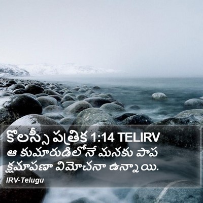 కొలస్సీ పత్రిక 1:14 TELIRV Bible Verse Image