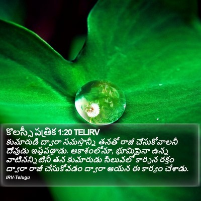 కొలస్సీ పత్రిక 1:20 TELIRV Bible Verse Image
