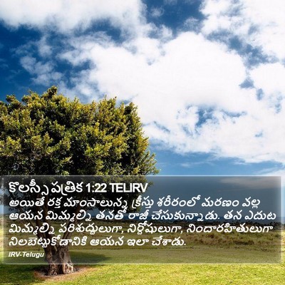 కొలస్సీ పత్రిక 1:22 TELIRV Bible Verse Image