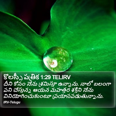 కొలస్సీ పత్రిక 1:29 TELIRV Bible Verse Image