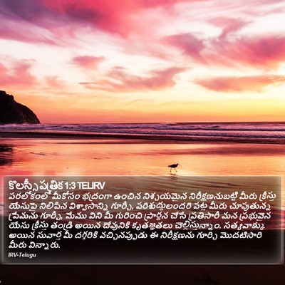కొలస్సీ పత్రిక 1:3 TELIRV Bible Verse Image