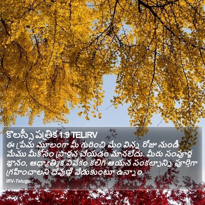 కొలస్సీ పత్రిక 1:9 TELIRV Bible Verse Image