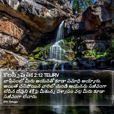 కొలస్సీ పత్రిక 2:12 TELIRV Bible Verse Image