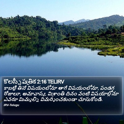 కొలస్సీ పత్రిక 2:16 TELIRV Bible Verse Image