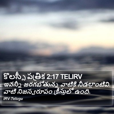 కొలస్సీ పత్రిక 2:17 TELIRV Bible Verse Image