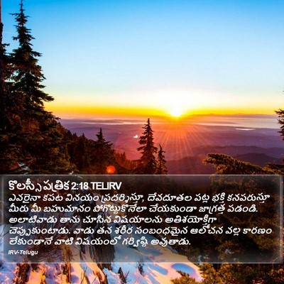 కొలస్సీ పత్రిక 2:18 TELIRV Bible Verse Image