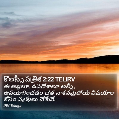 కొలస్సీ పత్రిక 2:22 TELIRV Bible Verse Image