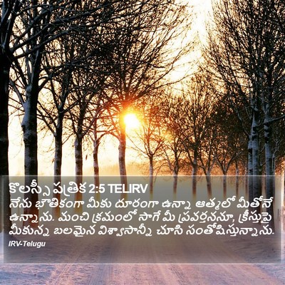కొలస్సీ పత్రిక 2:5 TELIRV Bible Verse Image