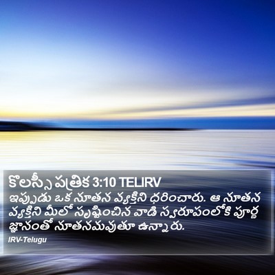కొలస్సీ పత్రిక 3:10 TELIRV Bible Verse Image