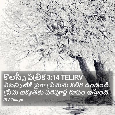 కొలస్సీ పత్రిక 3:14 TELIRV Bible Verse Image