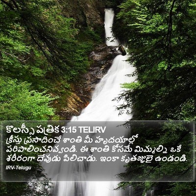 కొలస్సీ పత్రిక 3:15 TELIRV Bible Verse Image