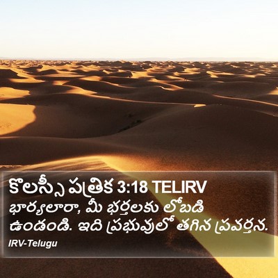 కొలస్సీ పత్రిక 3:18 TELIRV Bible Verse Image