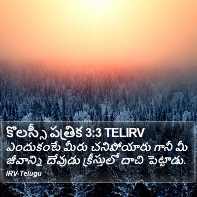 కొలస్సీ పత్రిక 3:3 TELIRV Bible Verse Image