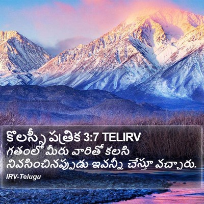 కొలస్సీ పత్రిక 3:7 TELIRV Bible Verse Image