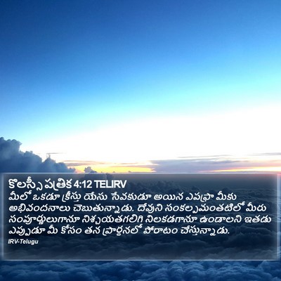 కొలస్సీ పత్రిక 4:12 TELIRV Bible Verse Image