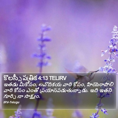 కొలస్సీ పత్రిక 4:13 TELIRV Bible Verse Image