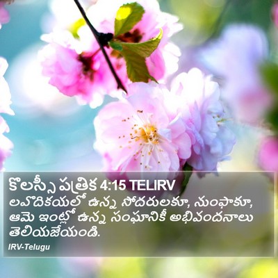 కొలస్సీ పత్రిక 4:15 TELIRV Bible Verse Image
