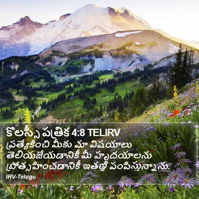 కొలస్సీ పత్రిక 4:8 TELIRV Bible Verse Image