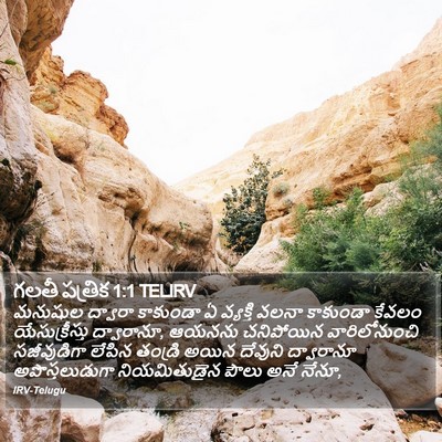 గలతీ పత్రిక 1:1 TELIRV Bible Verse Image