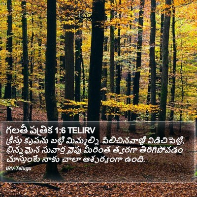 గలతీ పత్రిక 1:6 TELIRV Bible Verse Image