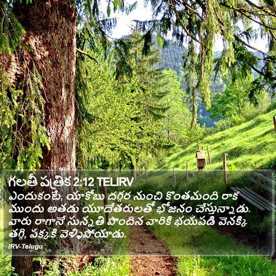 గలతీ పత్రిక 2:12 TELIRV Bible Verse Image
