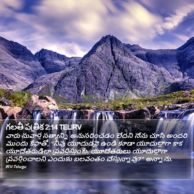 గలతీ పత్రిక 2:14 TELIRV Bible Verse Image