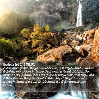 గలతీ పత్రిక 2:16 TELIRV Bible Verse Image