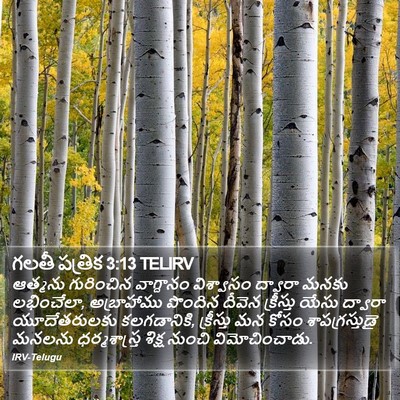గలతీ పత్రిక 3:13 TELIRV Bible Verse Image