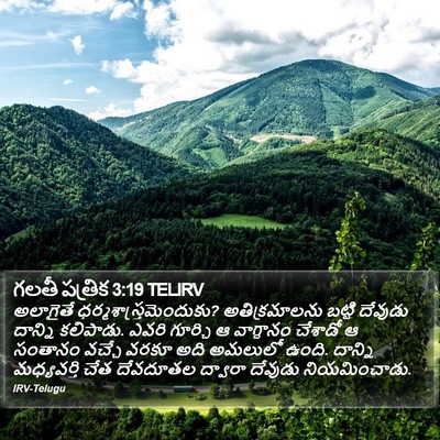 గలతీ పత్రిక 3:19 TELIRV Bible Verse Image