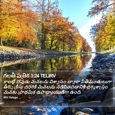 గలతీ పత్రిక 3:24 TELIRV Bible Verse Image