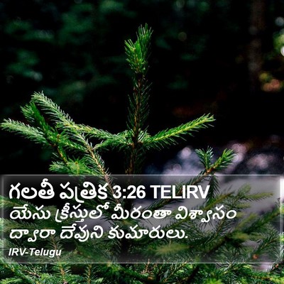 గలతీ పత్రిక 3:26 TELIRV Bible Verse Image
