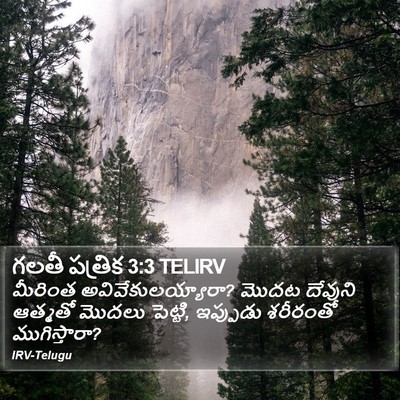 గలతీ పత్రిక 3:3 TELIRV Bible Verse Image